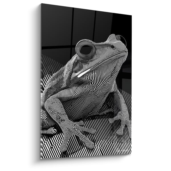 Tableau Grenouille noire et blanche aux rayures ondulantes sur carrelage - Œil en spirale - Edition grenouille