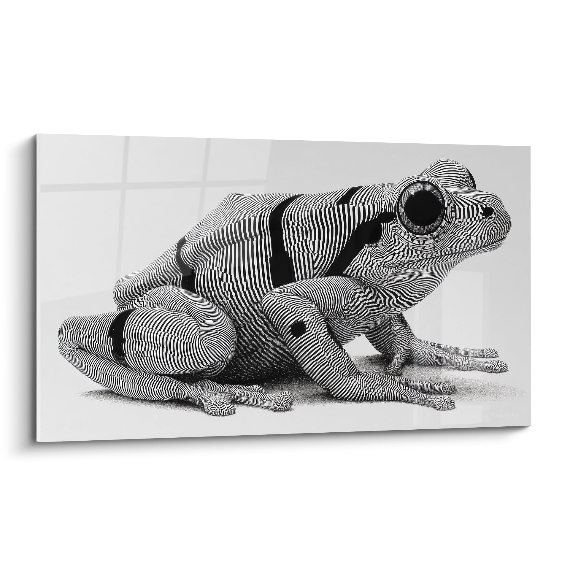 Grenouille noire et blanche aux rayures optiques, posture accroupie, œil sombre saisissant