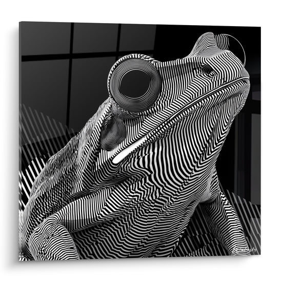Grenouille en rayures noires et blanches, œil spiralé, style optique hypnotique