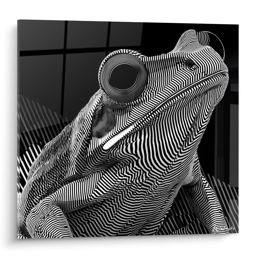 Tableau Grenouille noire et blanche aux spirales concentriques - Motif zébré serré - Edition grenouille