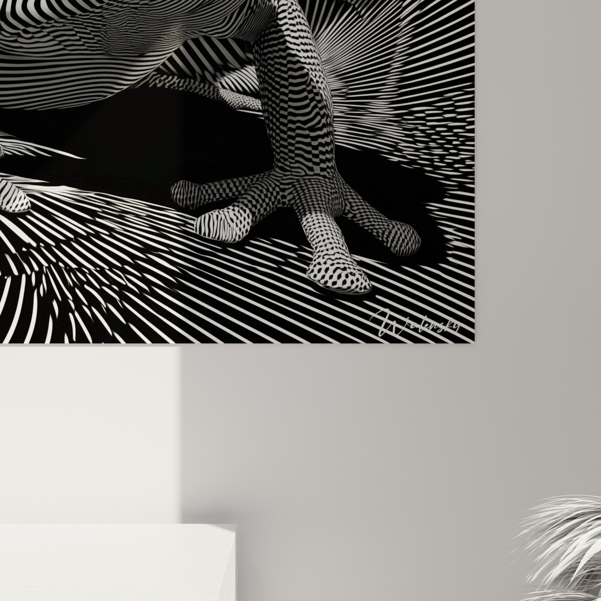 Détail des lignes fines noir et blanc formant la peau de la grenouille, grain précis et contrastes marqués visibles