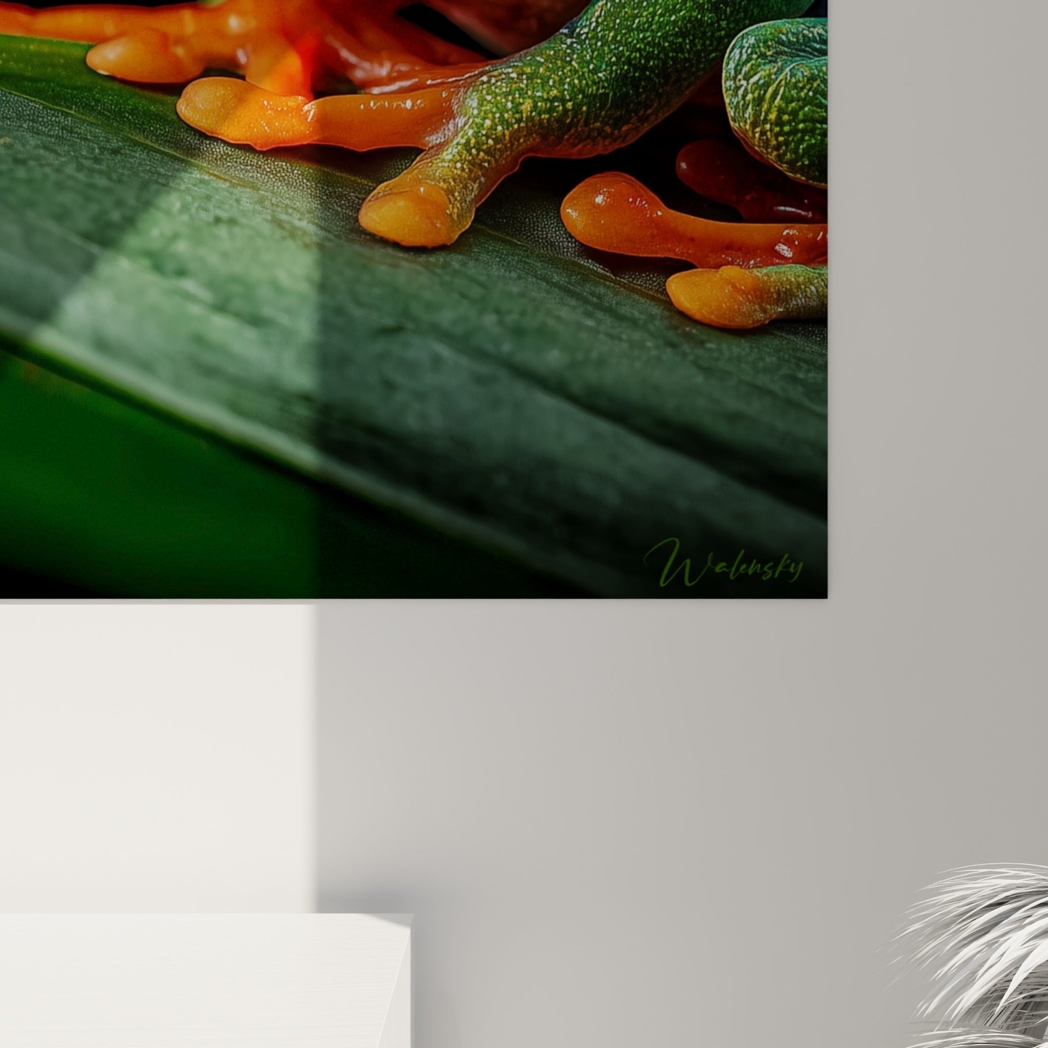 Détail de la peau granuleuse verte et des pattes orangées de la grenouille, grain et lumière visibles