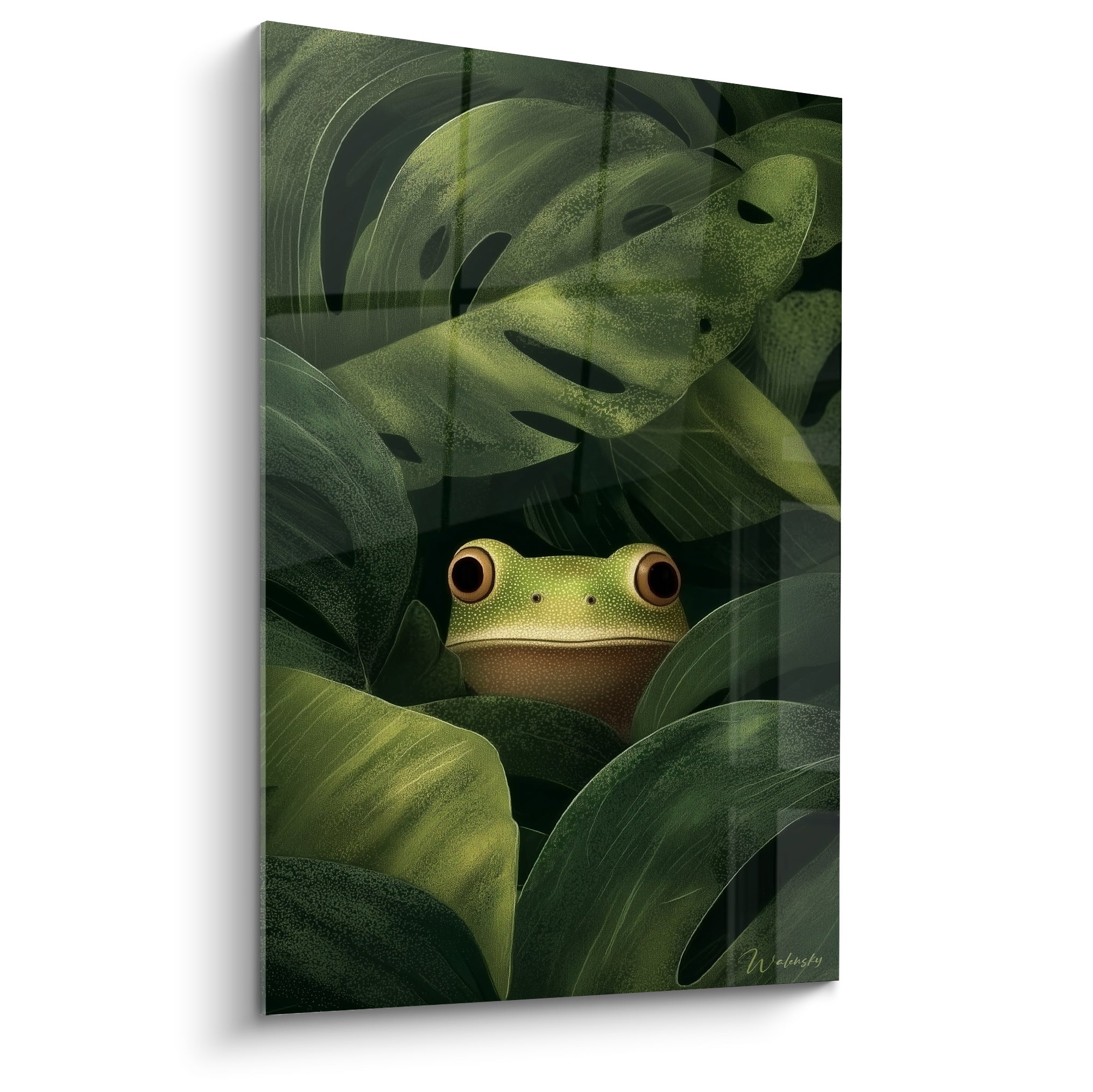 Grenouille verte aux yeux dorés dissimulée dans un feuillage vert olive dense