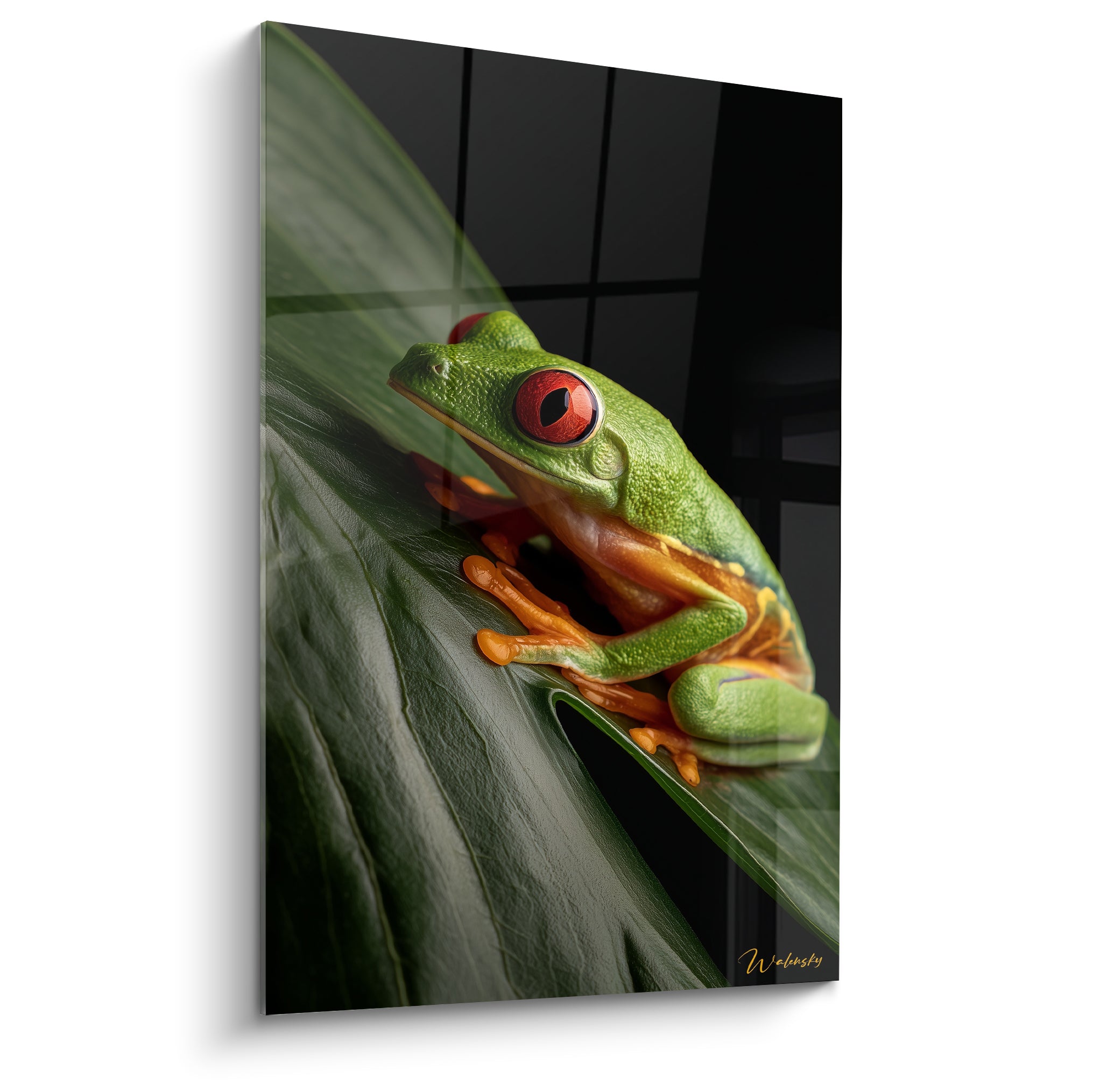 Rainette aux yeux rouges et à la peau vert émeraude posée sur une large feuille tropicale nervurée