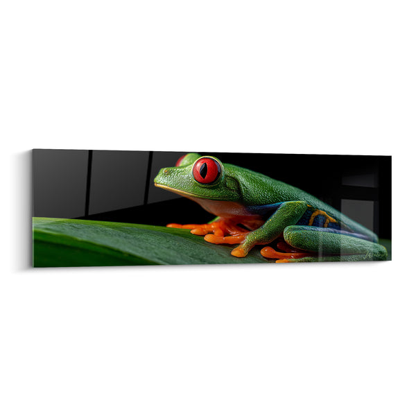 Tableau Rainette verte aux yeux rouges - Vigilance nocturne - Edition grenouille