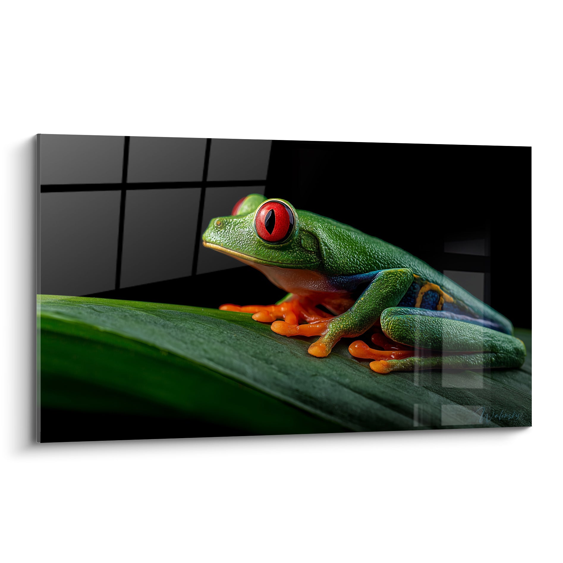 Rainette verte aux yeux rouge vif et pattes orangées posée sur une feuille tropicale