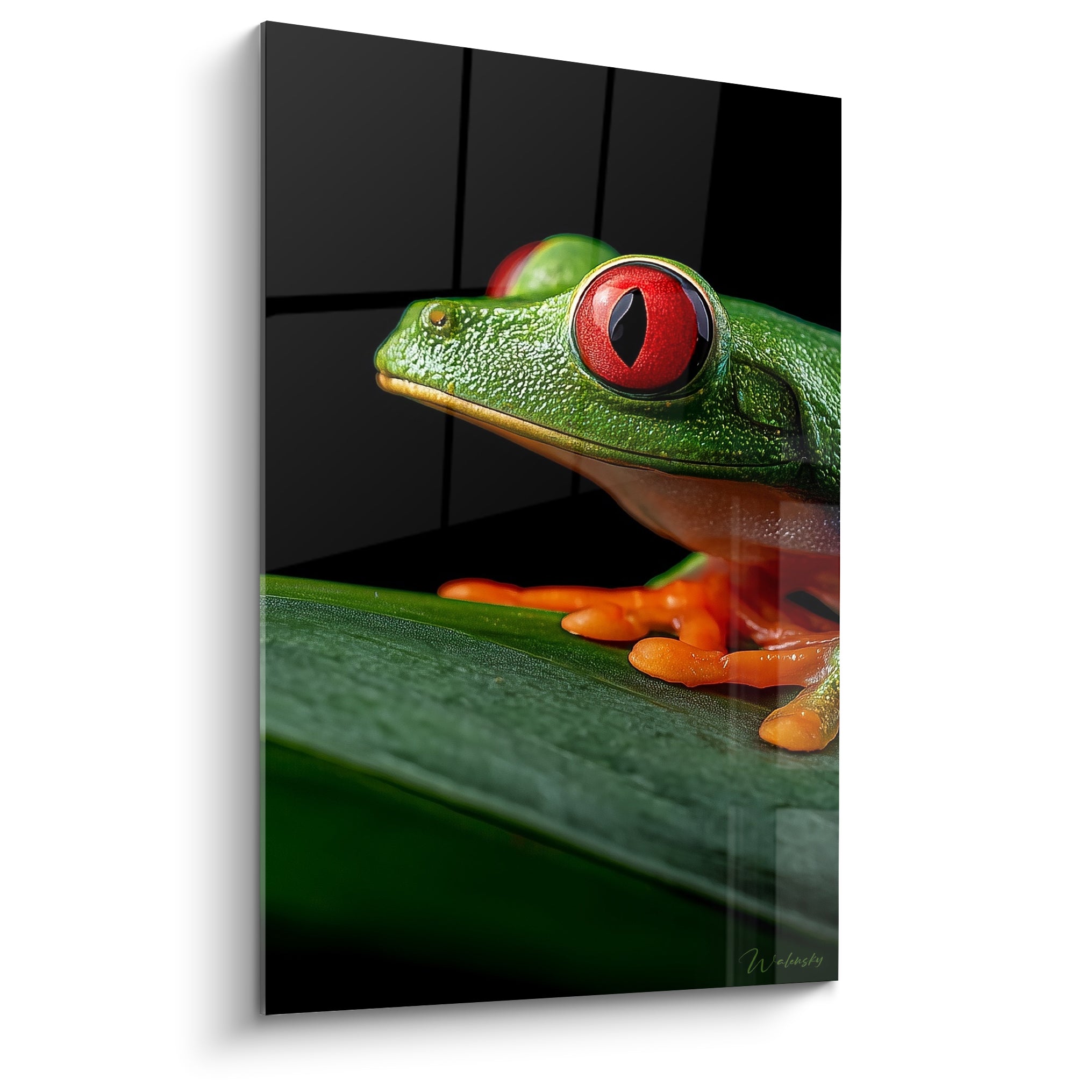 Grenouille verte aux yeux rouges intenses sur feuille tropicale, fond noir contrasté