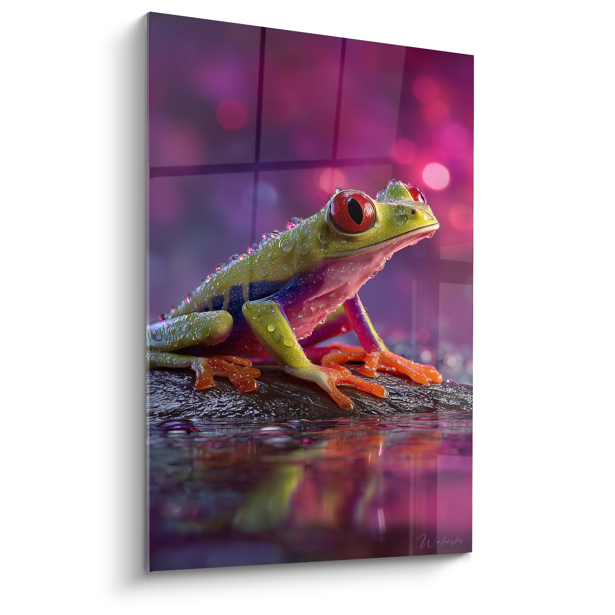 Grenouille aux yeux rouges couverte de gouttelettes sur fond fuchsia et violet intense