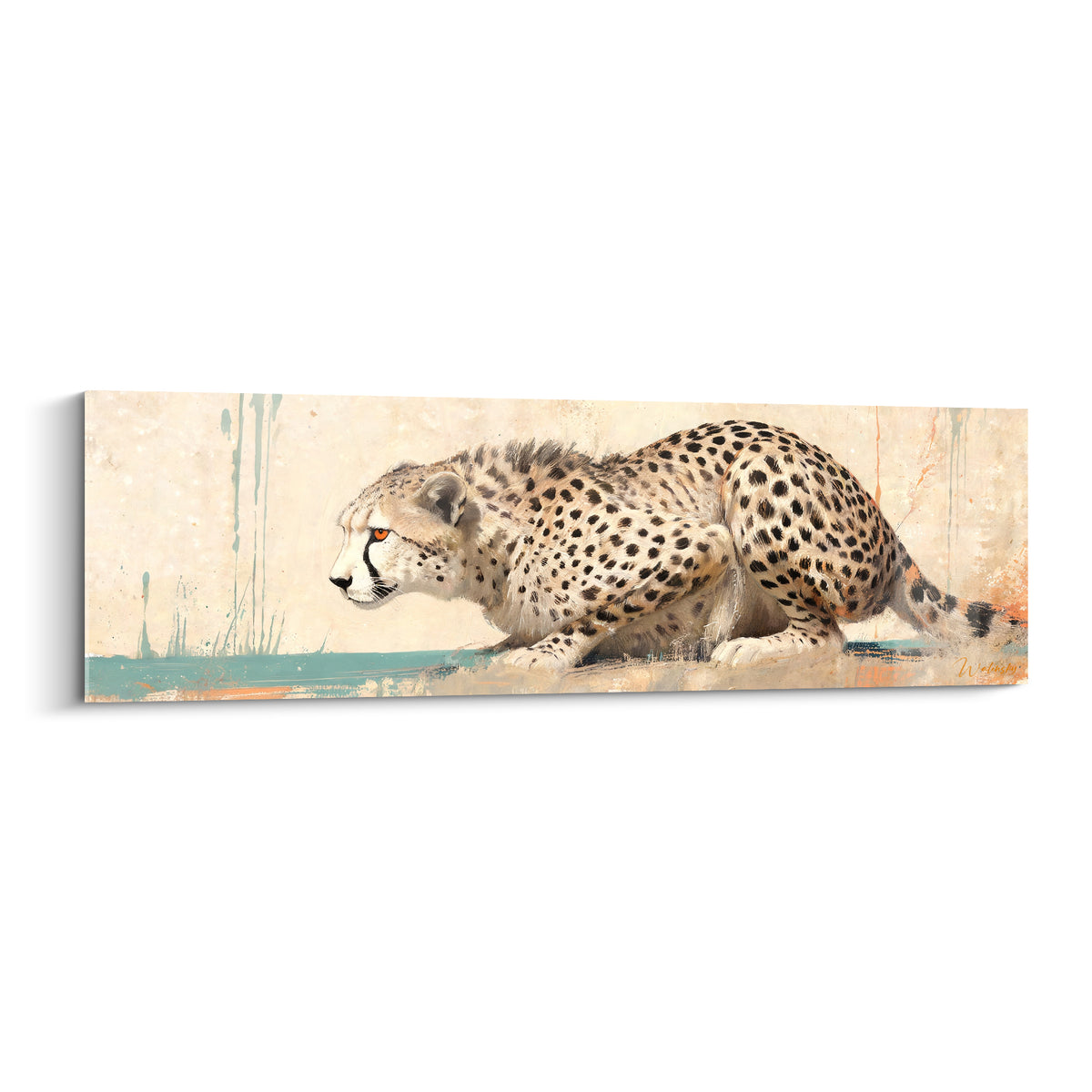 Guépard accroupi en position d'affût, pelage beige tacheté et fond turquoise éclaboussé