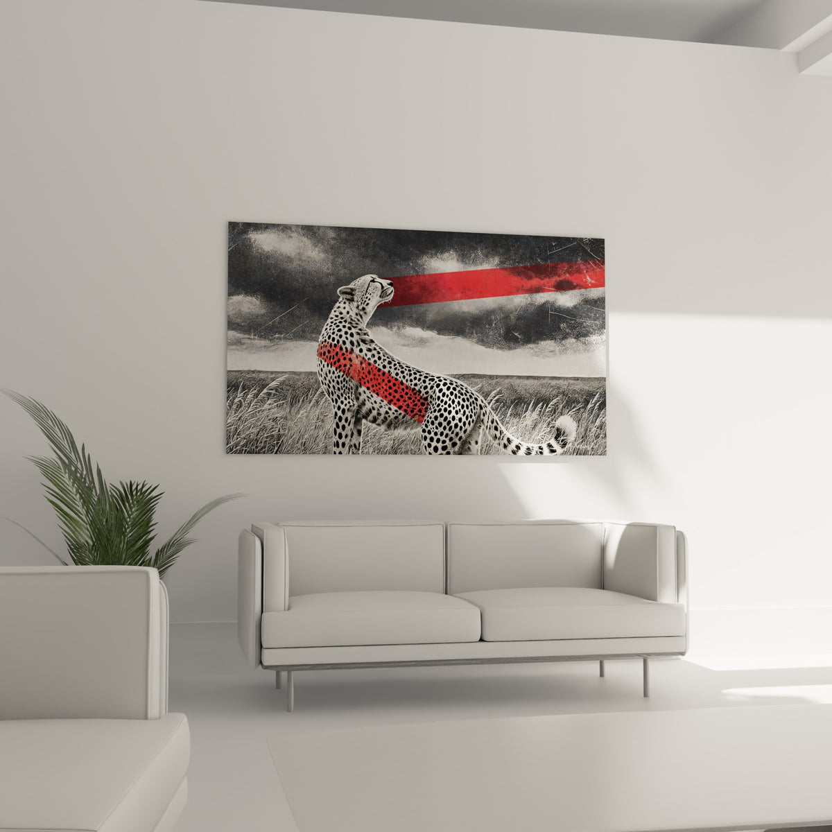 Félin gris et blanc marqué d'une diagonale rouge intense, suspendu au-dessus d'un canapé dans un salon lumineux