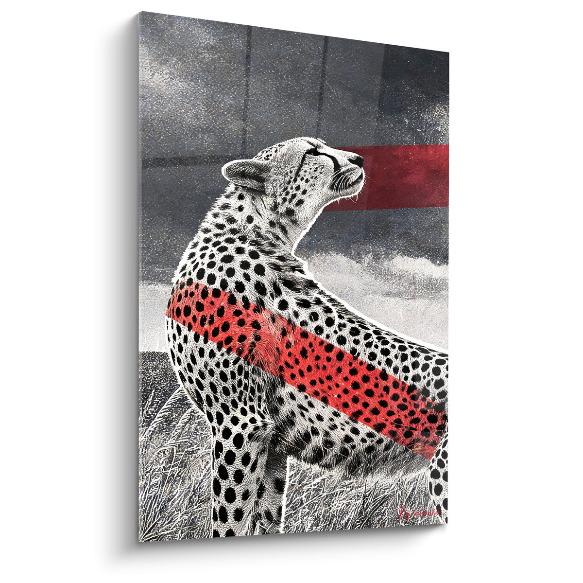 Guépard noir et blanc, tête levée, traversé d'une bande rouge intense sur fond gris texturé