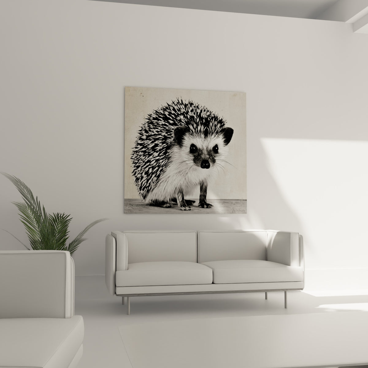 Museau noir et yeux sombres du hérisson au-dessus d'un canapé dans un salon lumineux