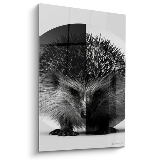 Tableau Hérisson noir et blanc sur cercle géométrique - Fond scindé en croix - Edition Hérisson