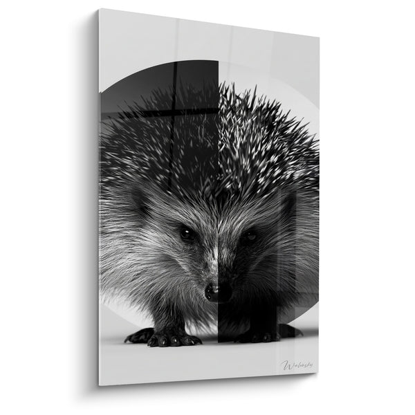 Tableau Hérisson noir et blanc sur cercle géométrique - Fond scindé en croix - Edition Hérisson