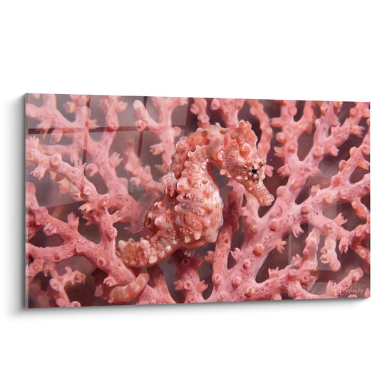Pink Seahorse on Branching Coral Wall Art - Perfect Camouflage - Seahorse Edition