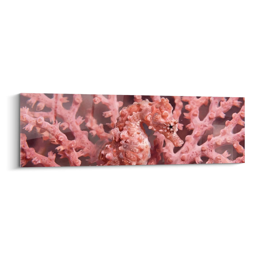Tableau Hippocampe Rose Corail dans son Récif - Majesté des Abysses - Edition Hippocampe