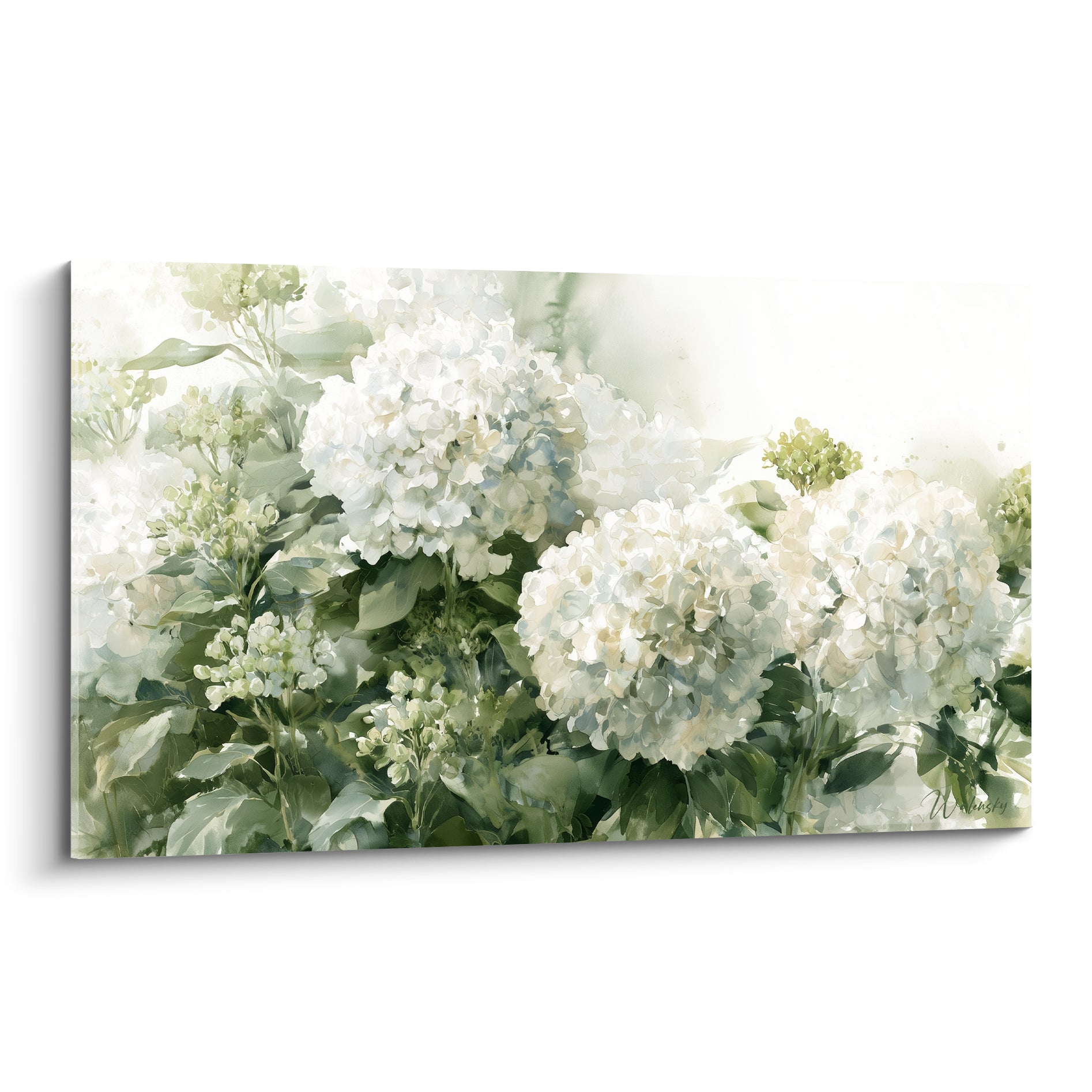 Hortensias blancs en grappes denses, feuillage vert sauge, effet aquarelle et lumière douce diffuse