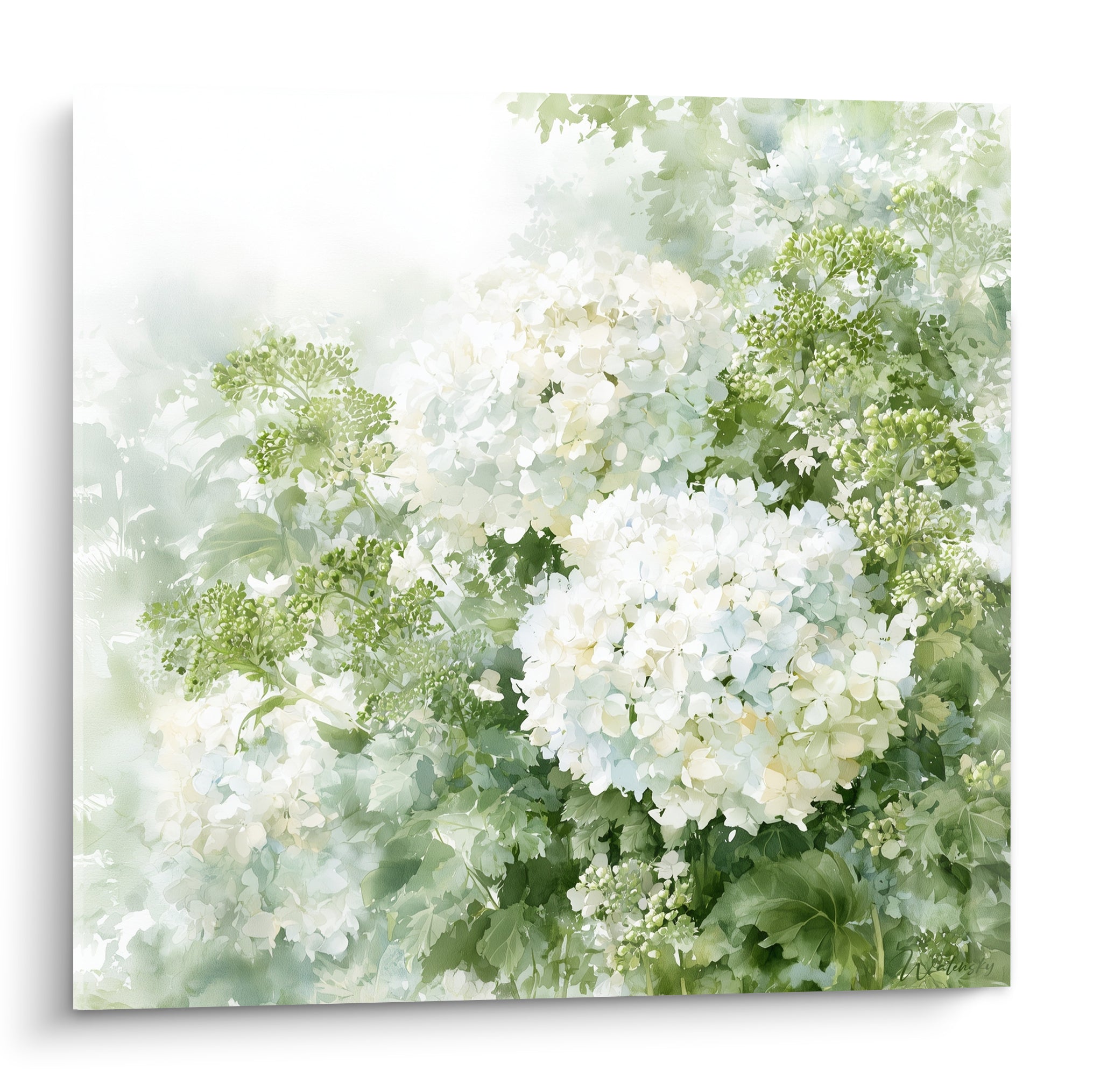 Hortensias blancs et feuillage vert sauge peints en aquarelle, composition florale lumineuse et délicate