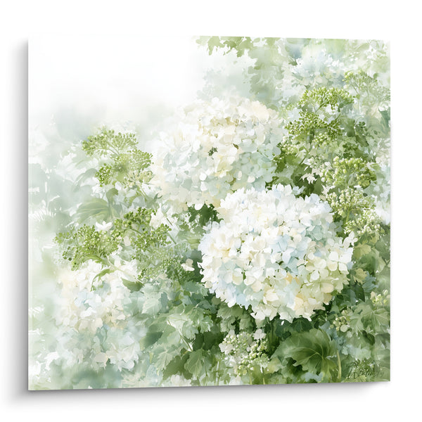 Tableau Hortensias blancs aux feuillages verts - Jardin embrumé - Edition Hortensia