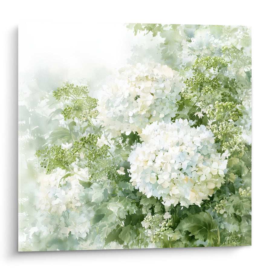 Tableau Hortensias blancs aux feuillages verts - Jardin embrumé - Edition Hortensia