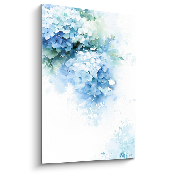 Tableau Ombelles bleu ciel et blanches sur fond immaculé - Éclaboussures d'aquarelle légères - Edition Hortensia
