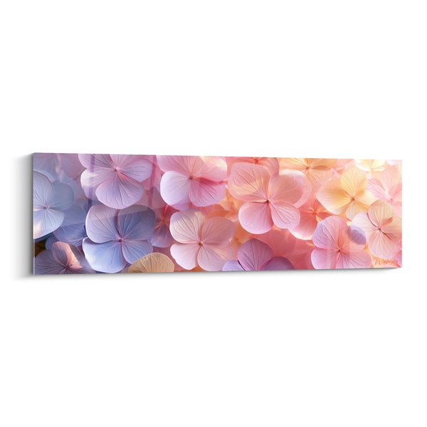 Tableau Ombelle mauve et pêche aux pétales translucides - Dégradé lumineux panoramique - Edition Hortensia