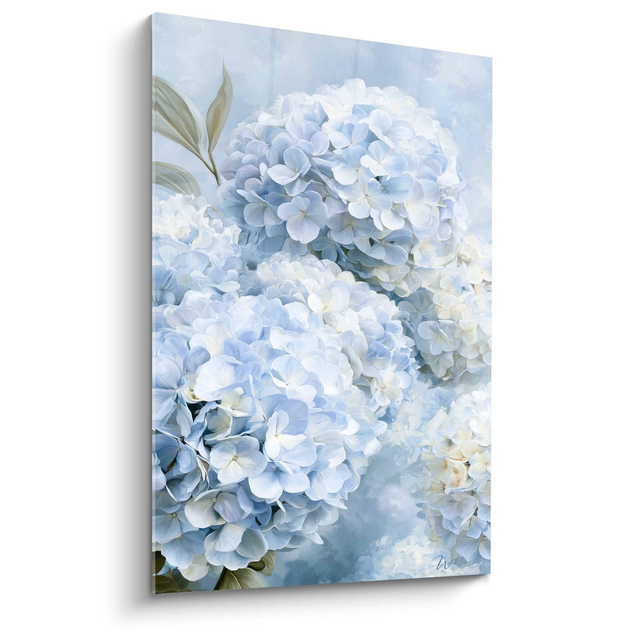 Hortensia bleu pastel et blanc en grappes denses, style aquarelle sur fond gris clair