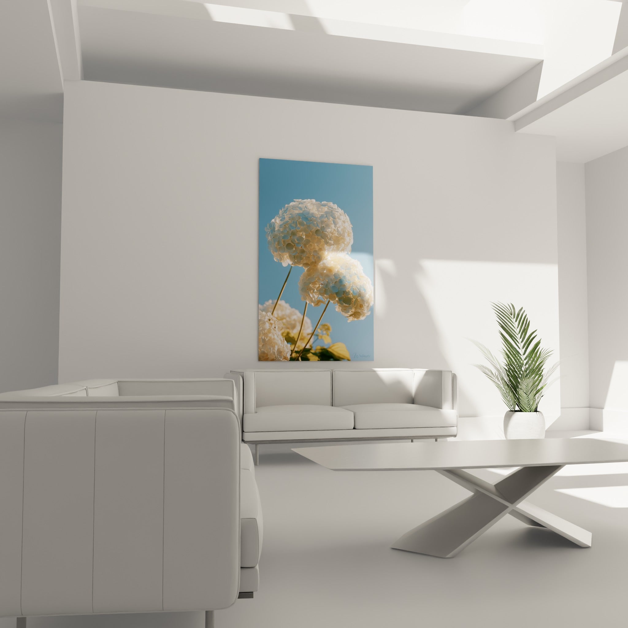Fleurs d'hortensia blanches et bleu pastel au-dessus d'un canapé dans un salon lumineux