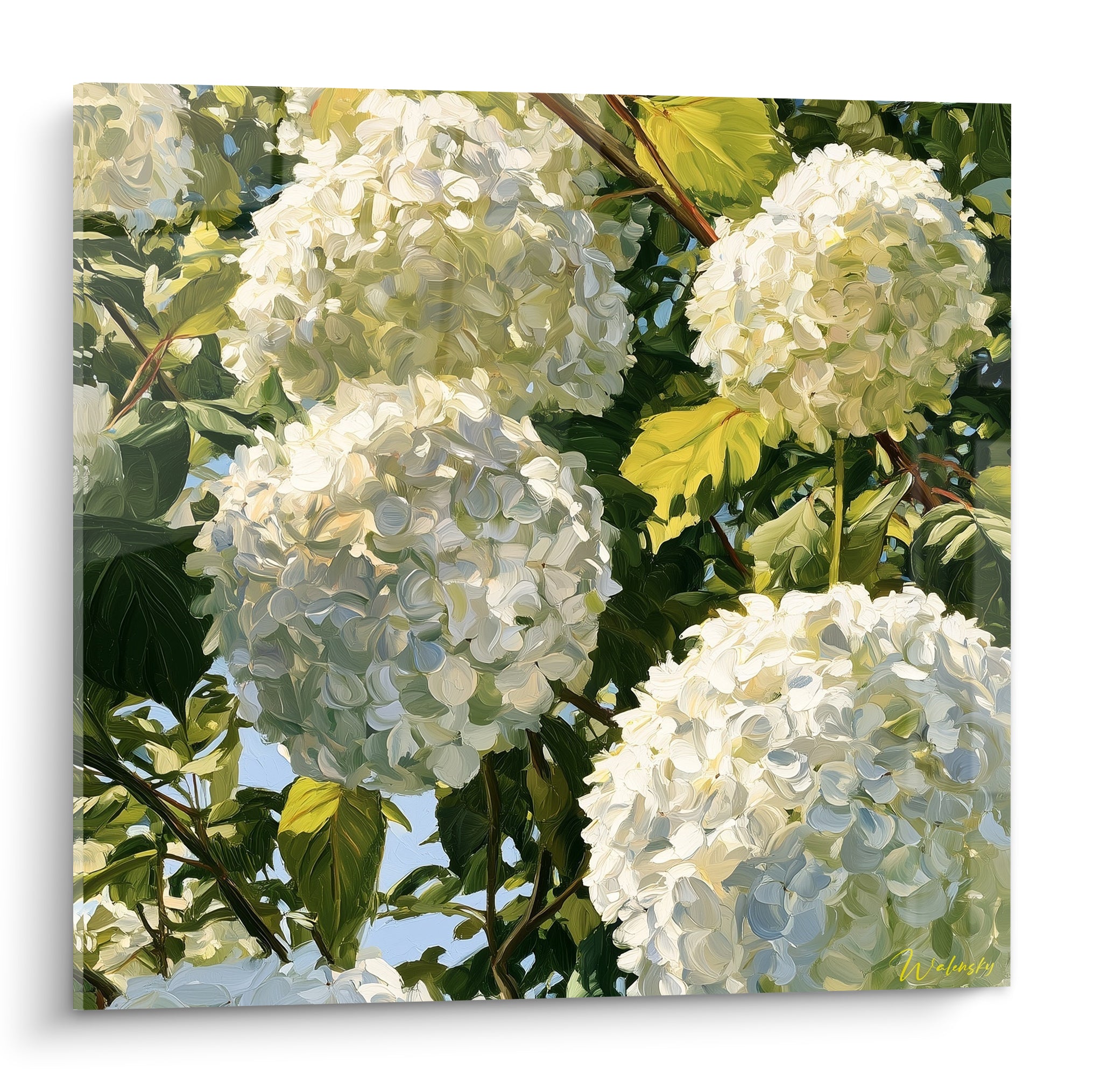 Hortensia blanc en gros bouquets peints, feuillage vert sauge et touches ocre lumineuses