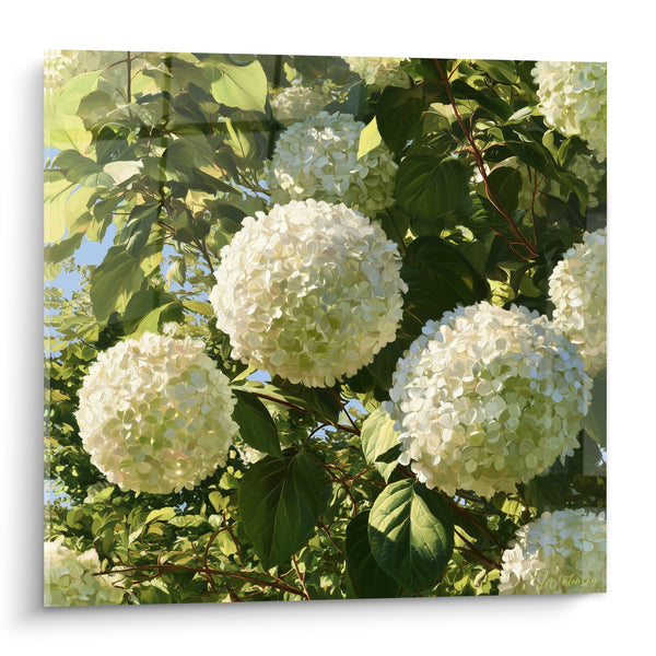 Tableau Ombelles blanches et vertes aux tiges rousses - Éclat de lumière - Edition Hortensia