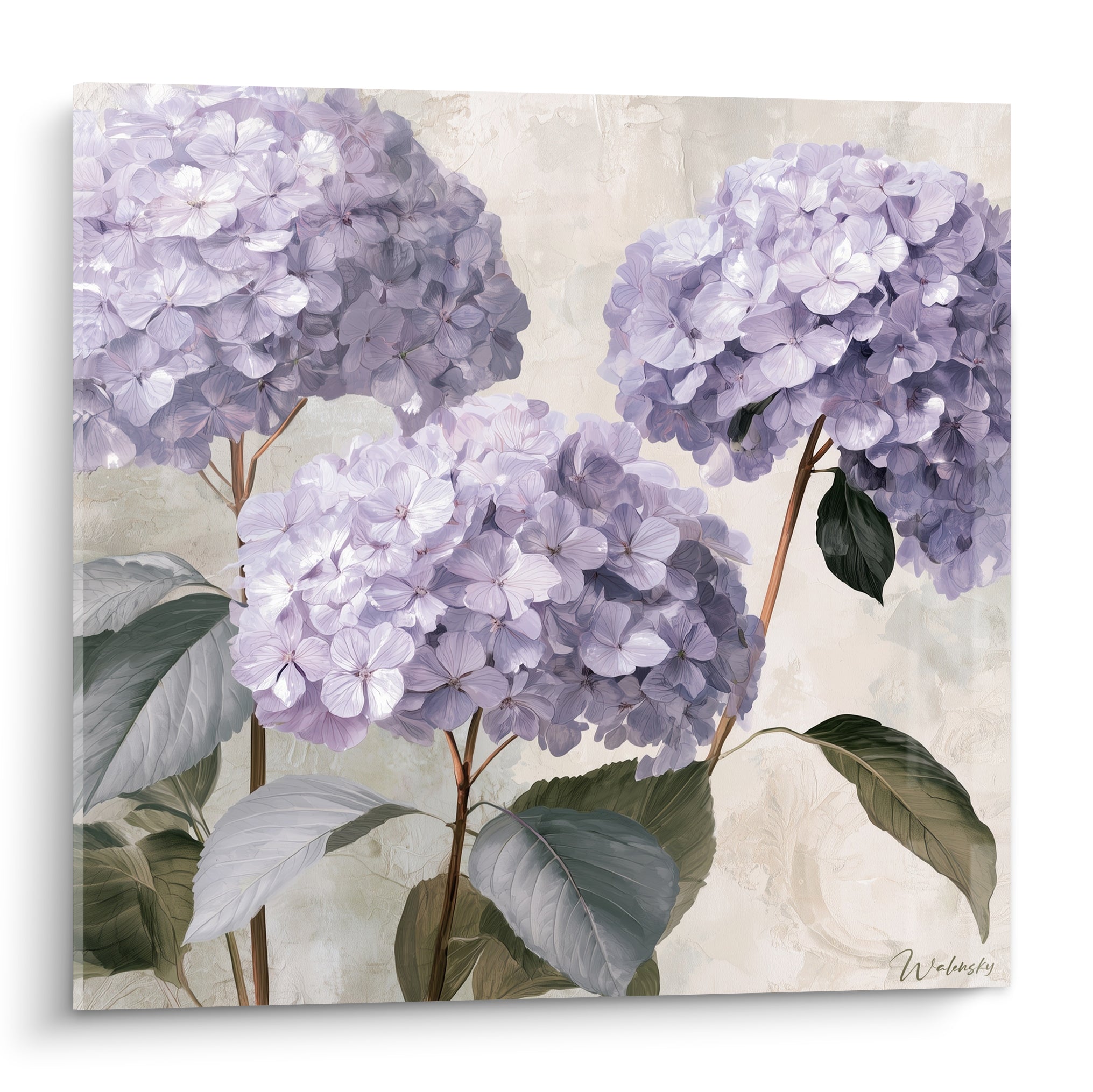 Hortensias mauves aux pétales blancs et feuillage vert olive peints en plein cadre