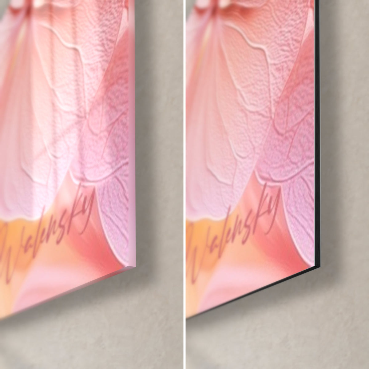 Wall art hydrangea petals in pink, peach and orange, bottom right corner, glossy glass on the left, matte black Dibond on the right, 3 mm edge