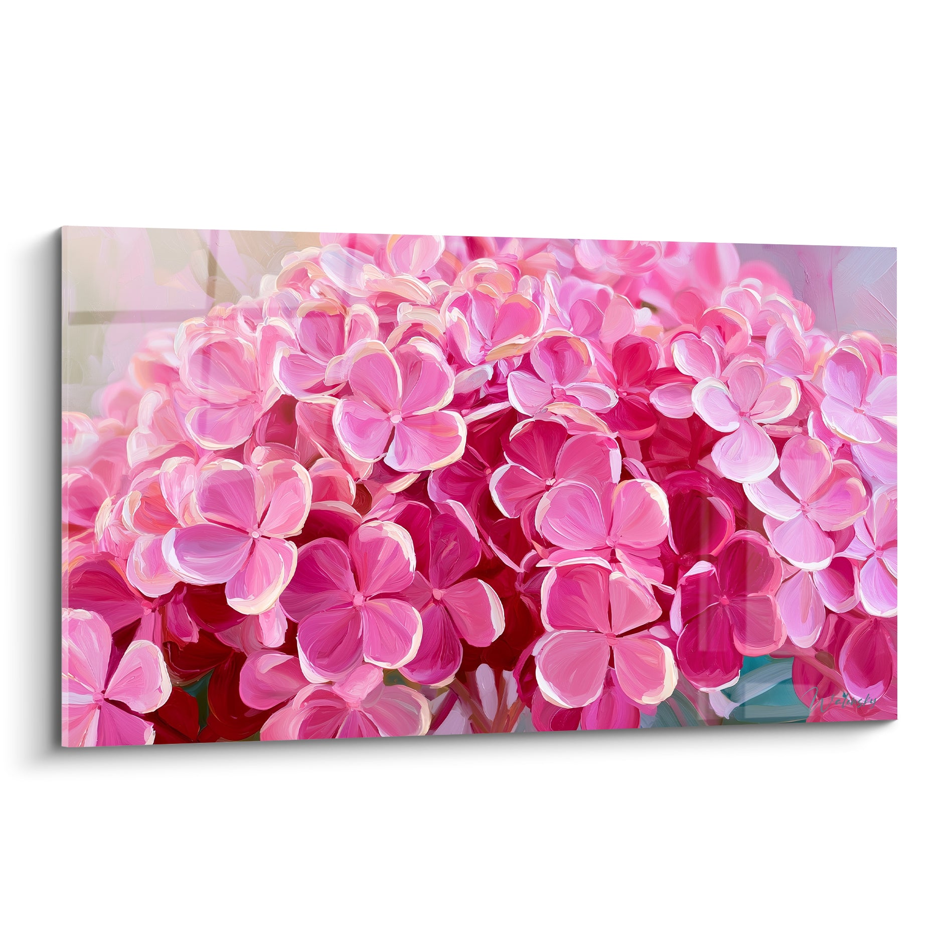 Hortensias roses et blancs peints en grappe dense, pétales veloutés éclairés en pleine lumière
