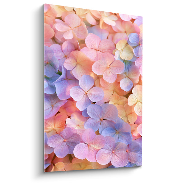Tableau Ombelles pêche et lavande aux pétales translucides - Nuance arc-en-ciel - Edition Hortensia