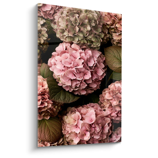 Tableau Hortensias roses et vert mousse - Nostalgie fleurie - Edition Hortensia