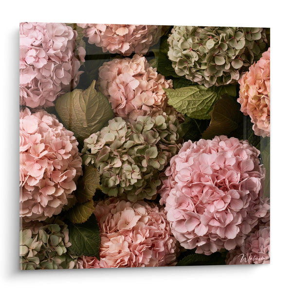 Tableau Ombelles roses et vert olive entrelacées de feuilles - Mosaïque florale dense - Edition Hortensia