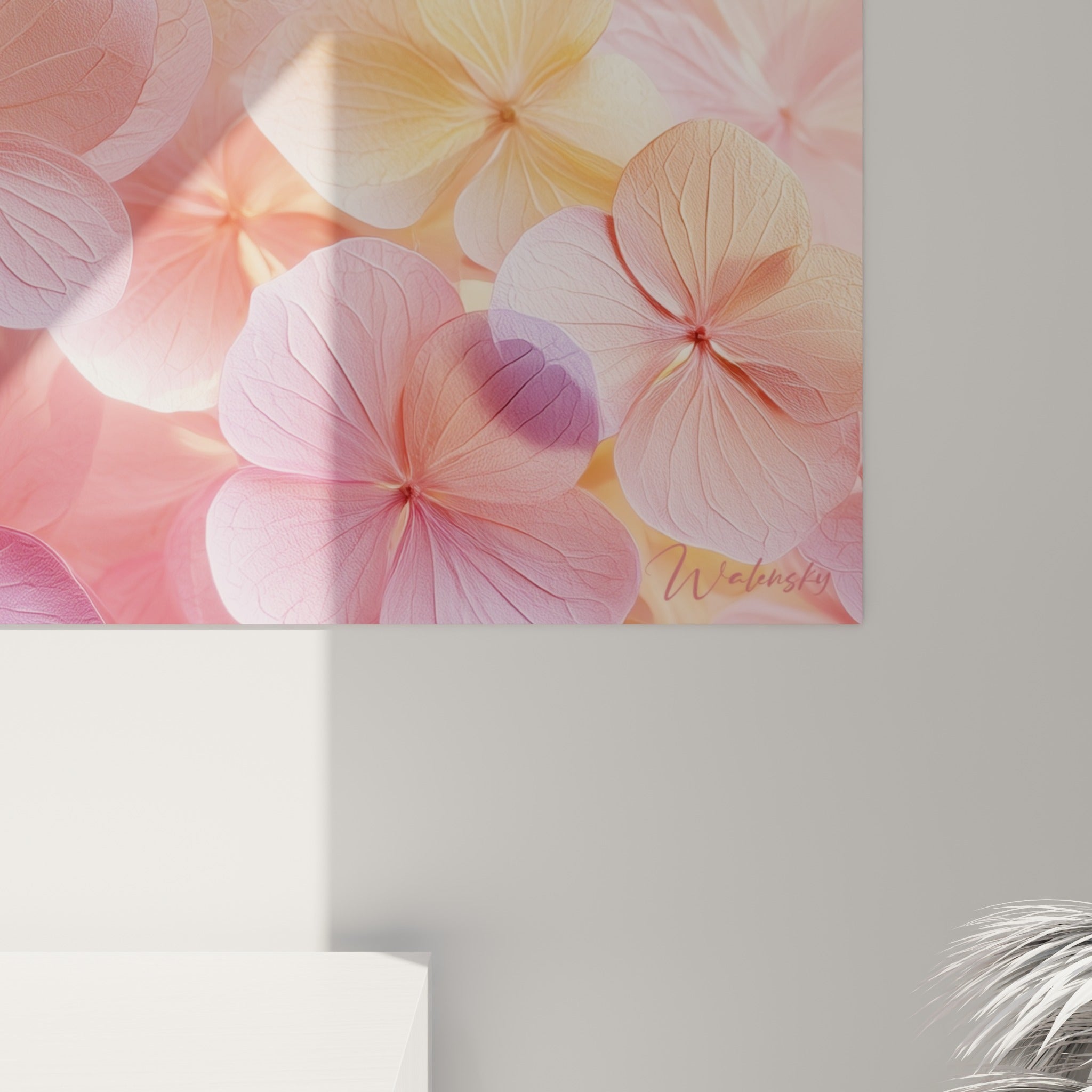 Nervures et texture veloutée des pétales d'hortensia bleu lavande et rose sous la lumière