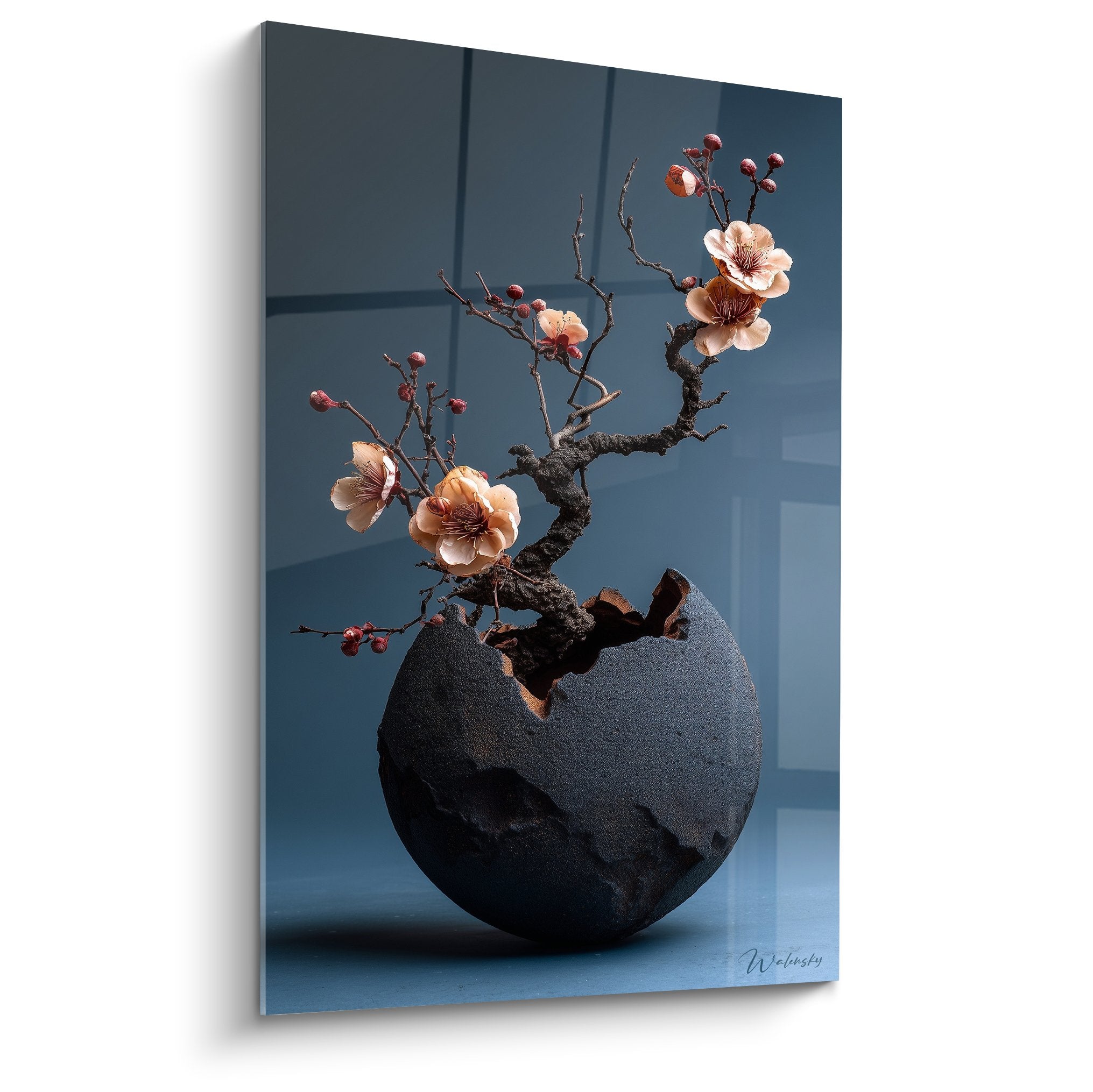 Broken black vase with cherry blossom branch pink flowers red buds blue background modern ikebana art