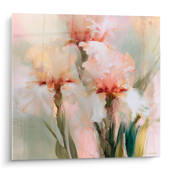 Tableau Iris blanc et pêche à la barbe cuivrée - Pétales ruisselants et froissés - Edition Iris