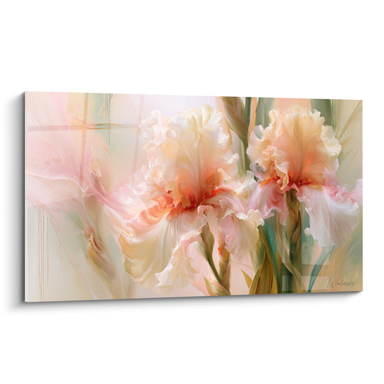 Iris blanc et rose pastel aux nuances corail, pétales déployés en pleine floraison lumineuse