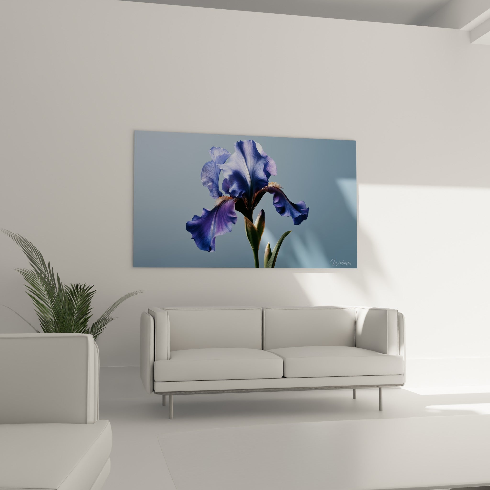 Pétales d'iris bleu lavande et violet profond, au-dessus d'un canapé dans un salon lumineux