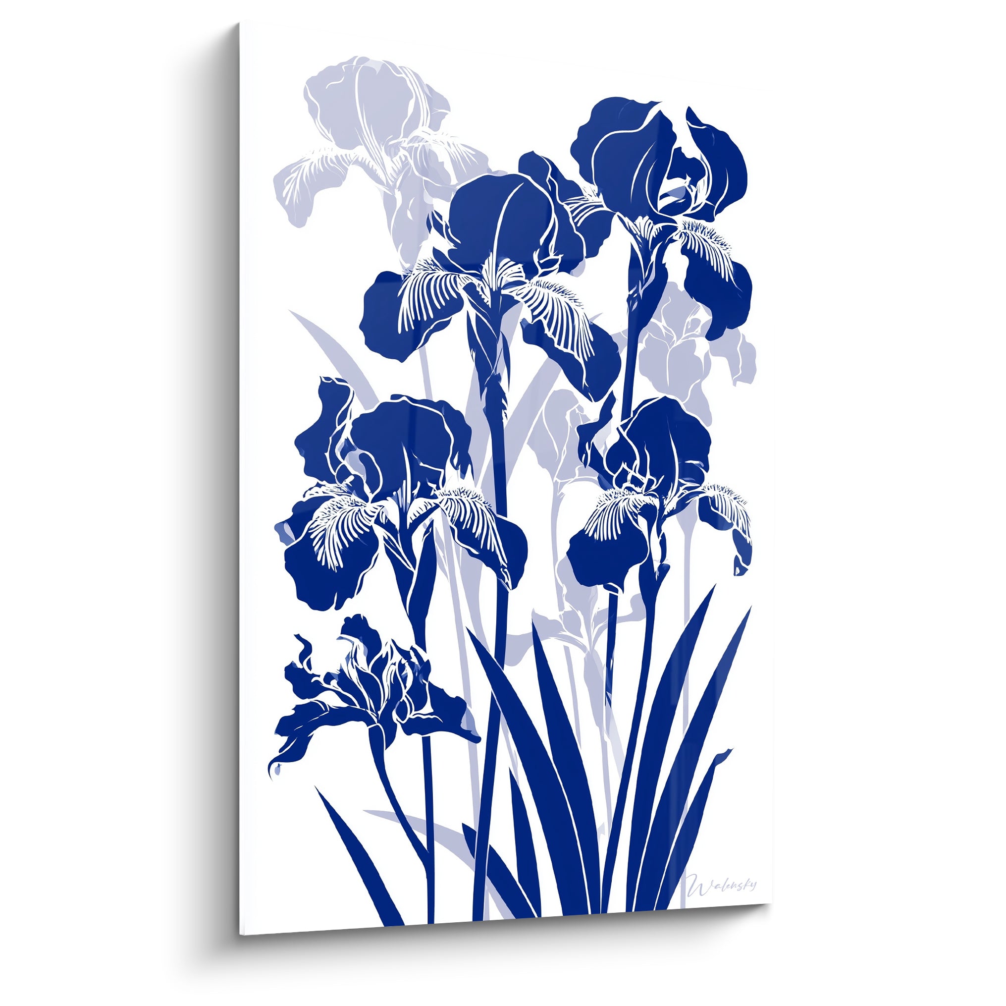 Iris bleu marine et blanc en silhouette graphique, pétales détourés, fond immaculé sans ombre