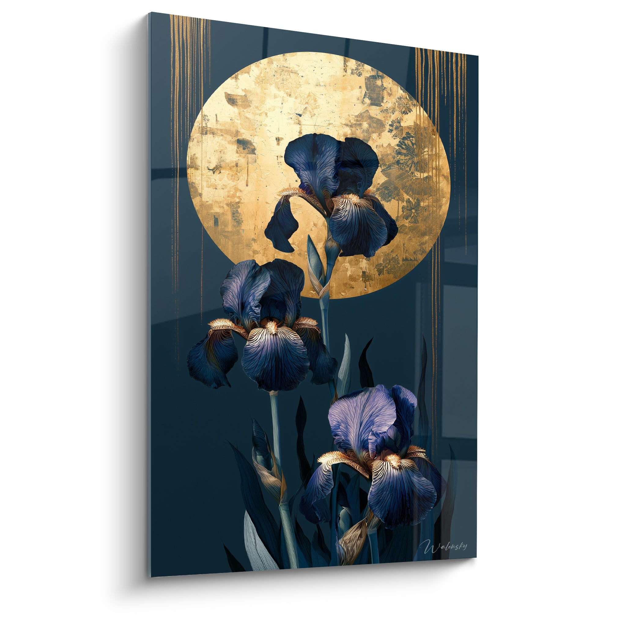 Iris bleu nuit aux nuances violettes devant un grand disque doré texturé sur fond anthracite