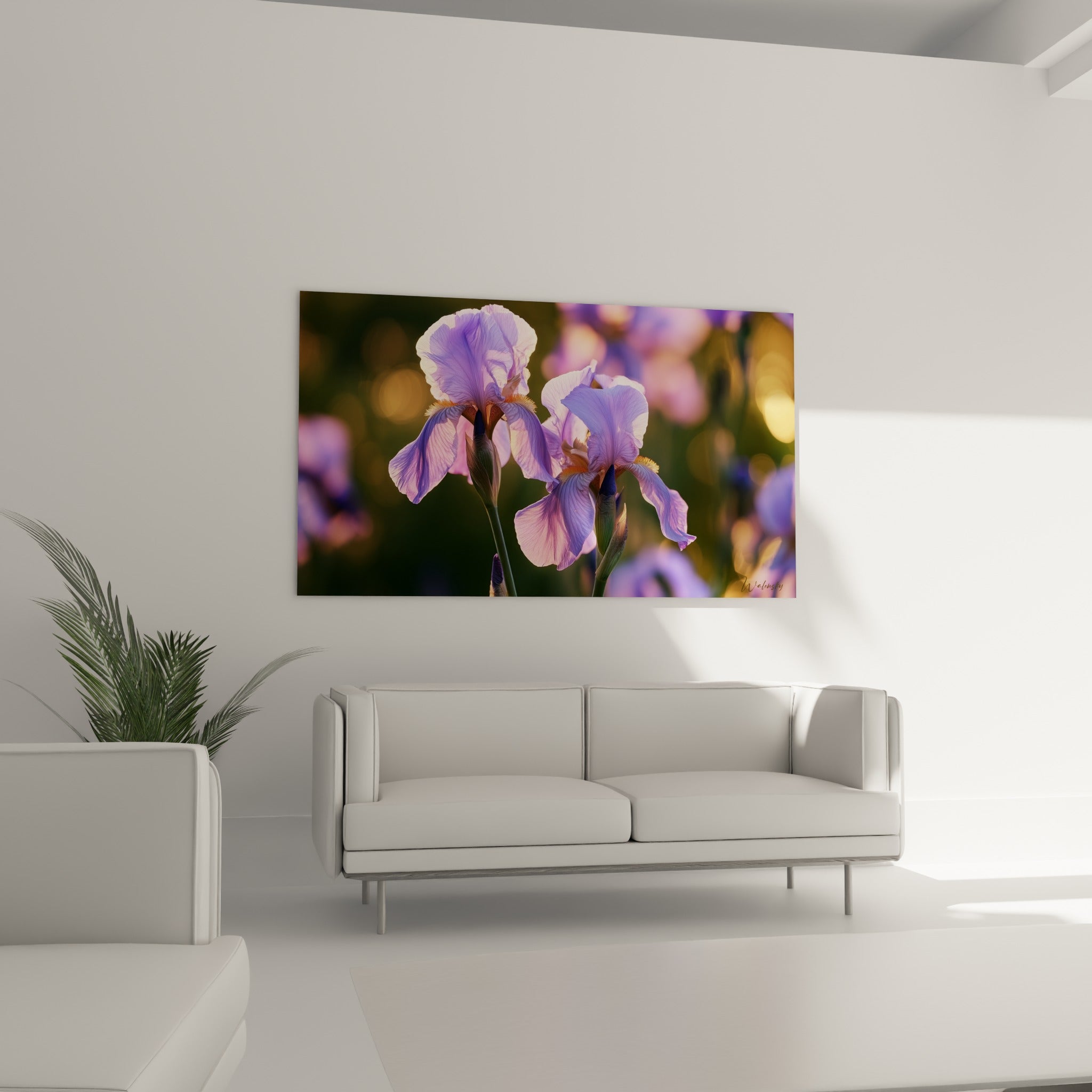 Pétales d'iris violet et reflets orangés, suspendus au-dessus d'un canapé dans un salon lumineux