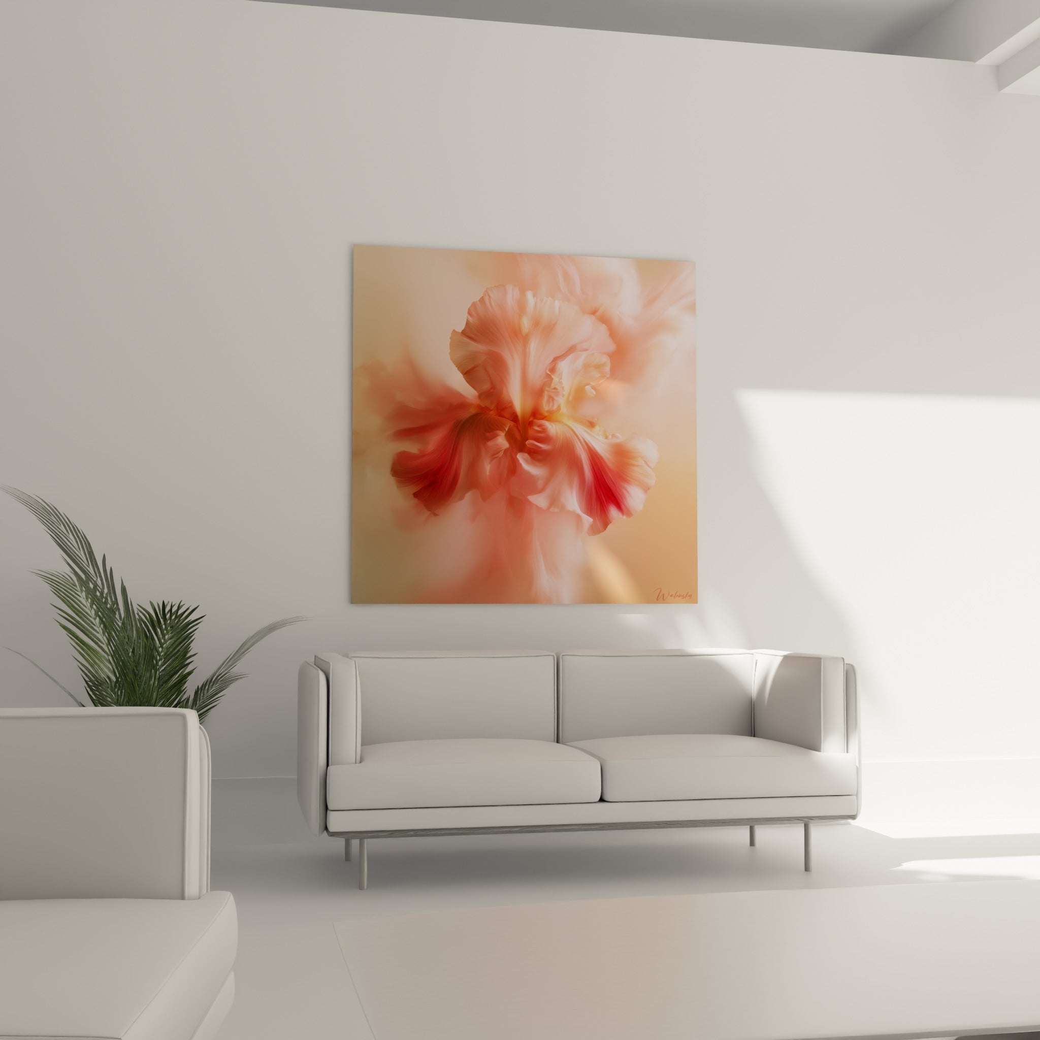 Pétales d'Iris corail et beige en mouvement doux, disposés au-dessus d'un canapé dans un salon lumineux