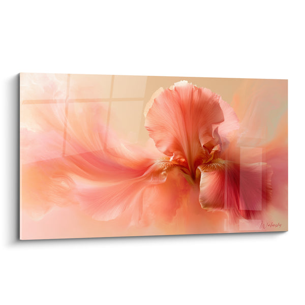Tableau Iris corail et pêche aux pétales fondants - Voile satiné diffus - Edition Iris