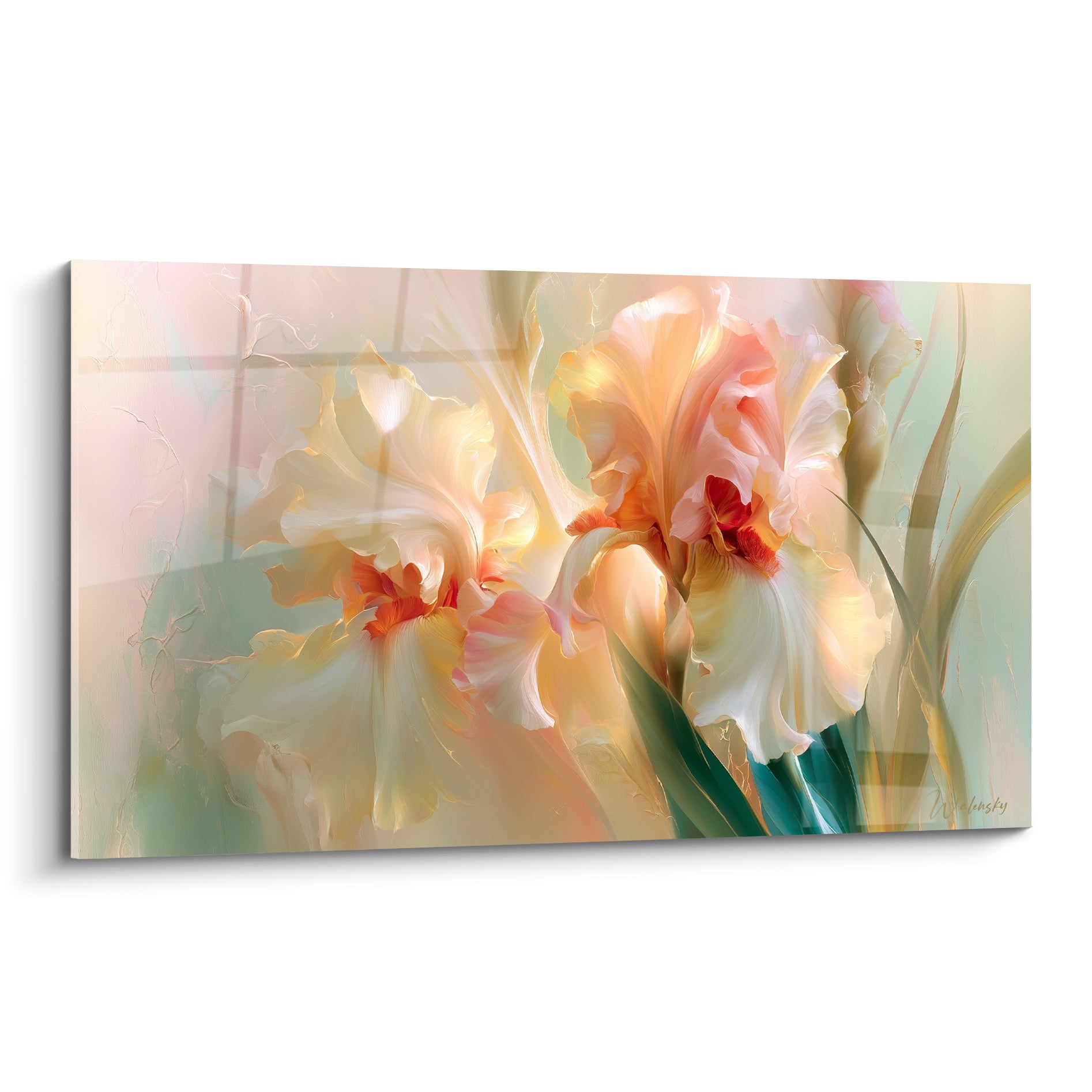 Iris crème et pêche aux pétales veloutés, cœurs rouge corail, fond vert sauge estompé