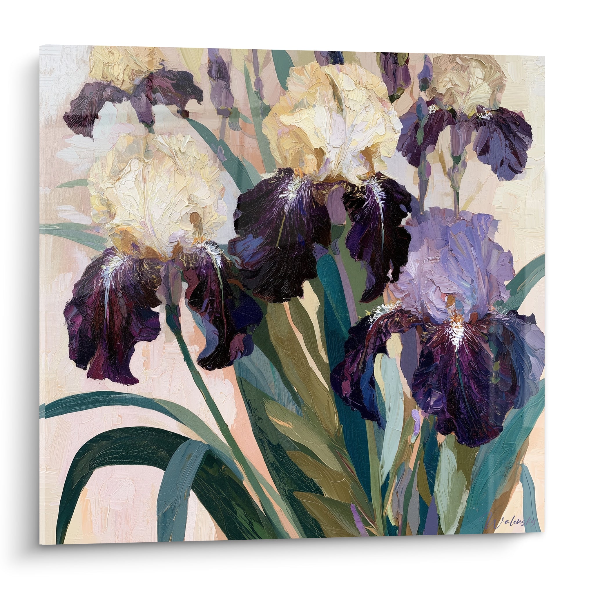 Iris crème et violet aubergine peints en larges empâtements sur fond rosé pâle
