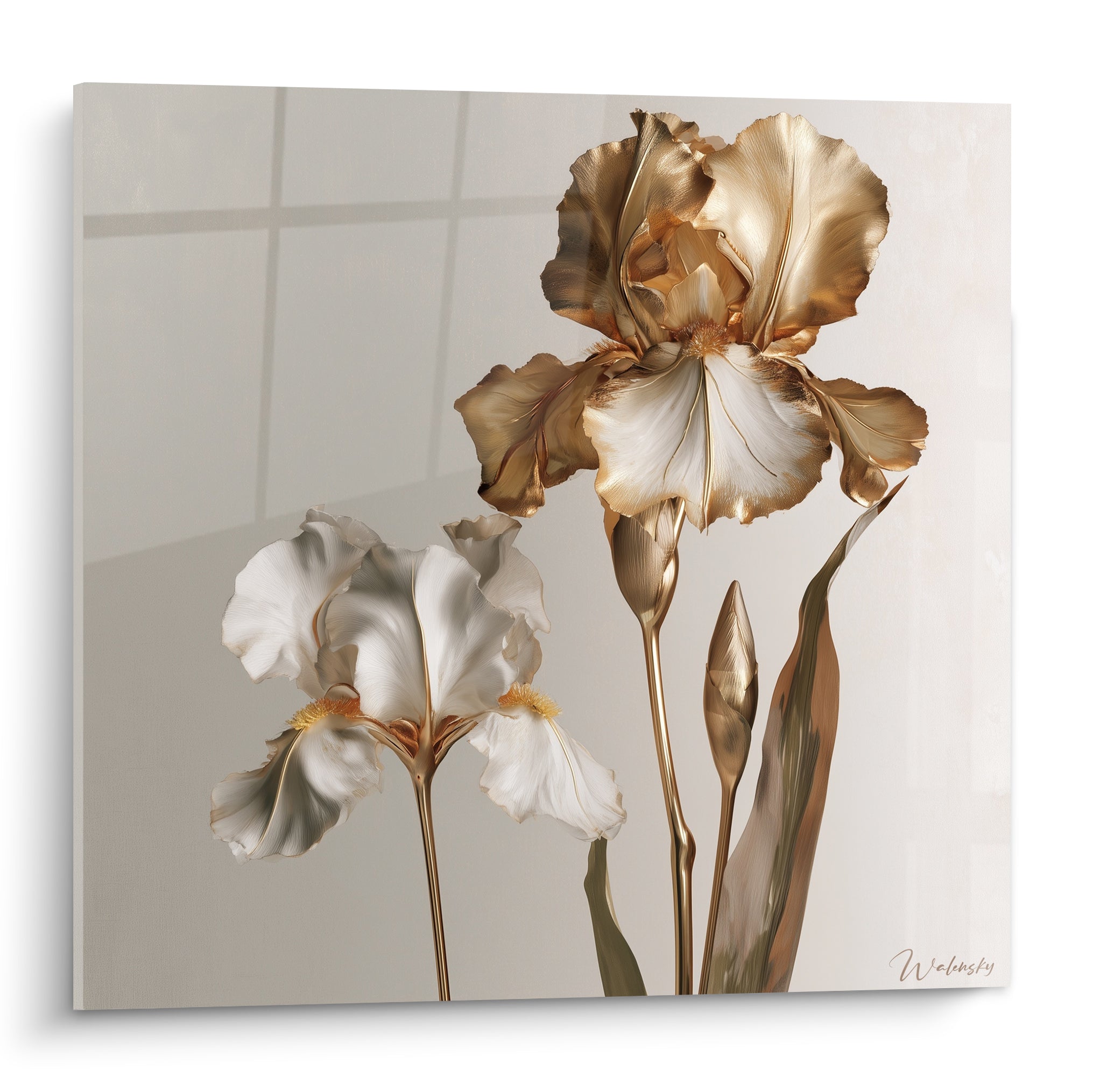 Iris doré et blanc aux pétales sculptés, tige vert olive, fond gris perle lumineux
