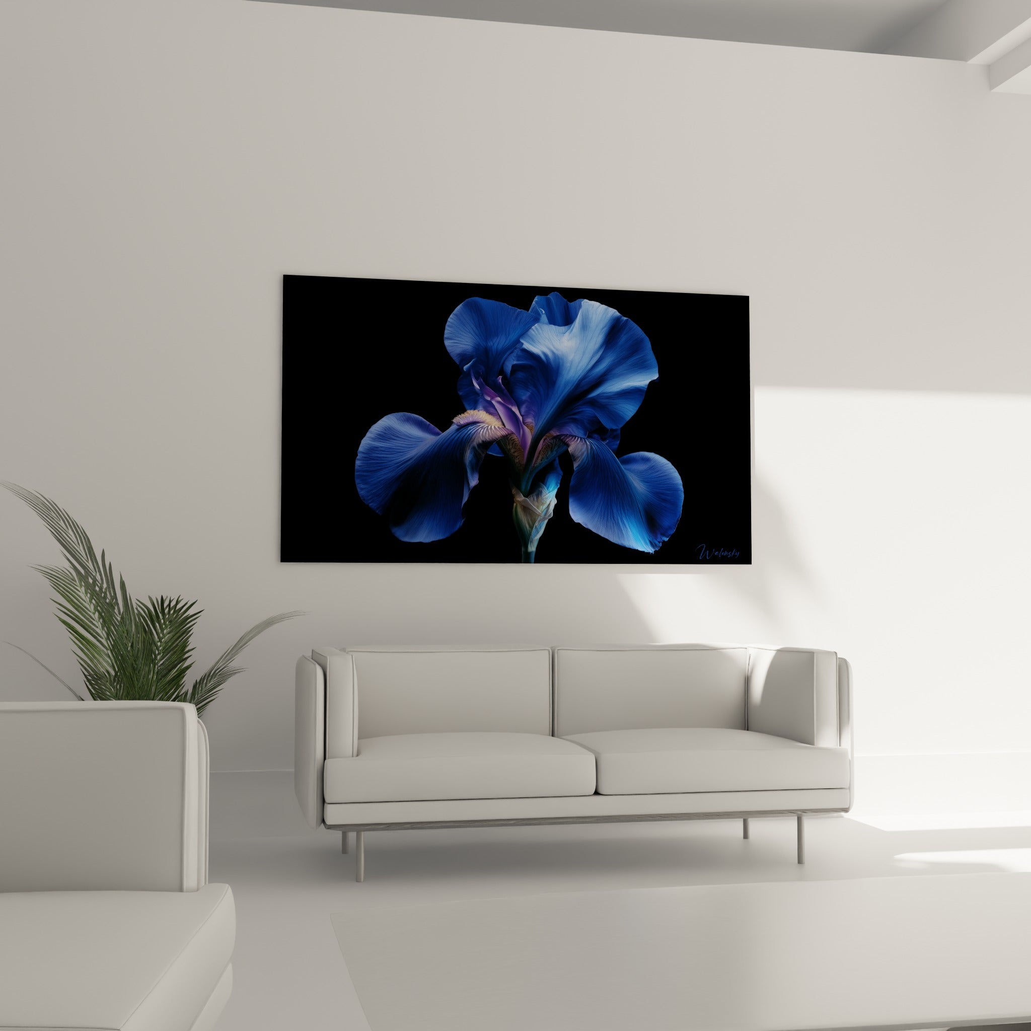 Fleur d'iris bleu et violet aux nervures fines placée au-dessus d'un canapé dans un salon lumineux